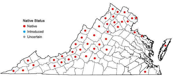 Locations ofParietaria pensylvanica Muhl. ex Willd. in Virginia