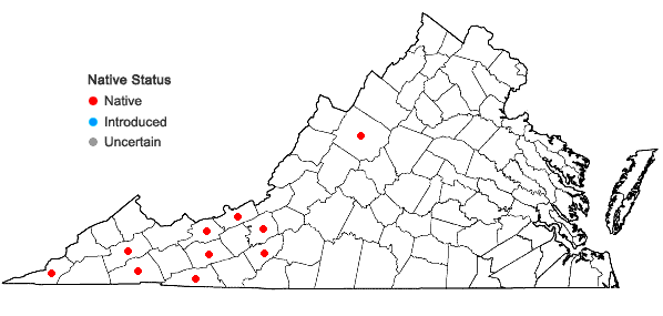 Locations ofParnassia grandifolia DC. in Virginia