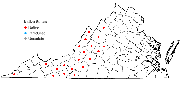 Locations ofParonychia argyrocoma (Michx.) Nutt. in Virginia