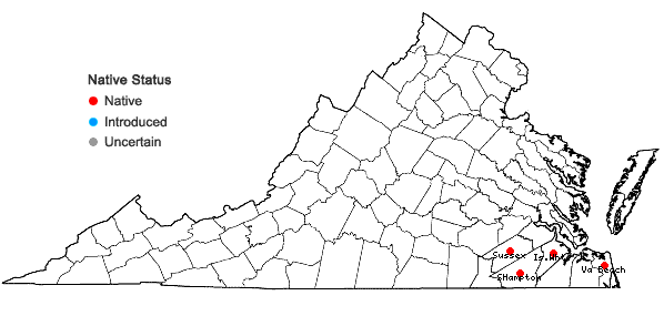 Locations ofParonychia baldwinii (Torr. & Gray) Fenzl ex Walp. ssp riparia (Chapman) Chaudhri in Virginia