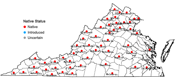 Locations ofParonychia canadensis (L.) Wood in Virginia