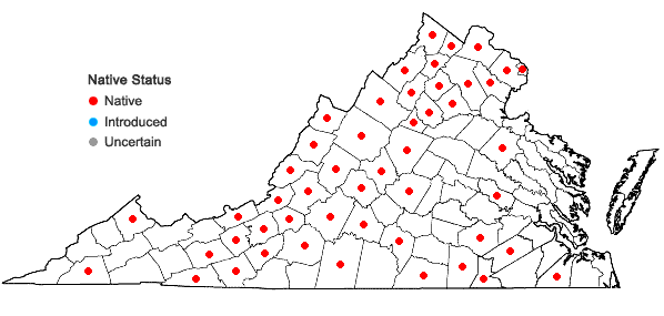 Locations ofParonychia fastigiata (Raf.) Fern. in Virginia
