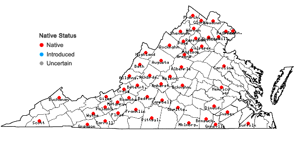 Locations ofParonychia fastigiata (Raf.) Fern. in Virginia