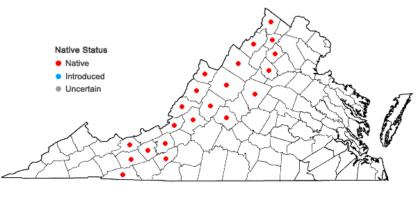 Locations ofParonychia montana (Small) Pax & K. Hoffmann in Virginia