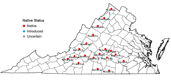 Locations ofParthenium auriculatum Britt. in Virginia