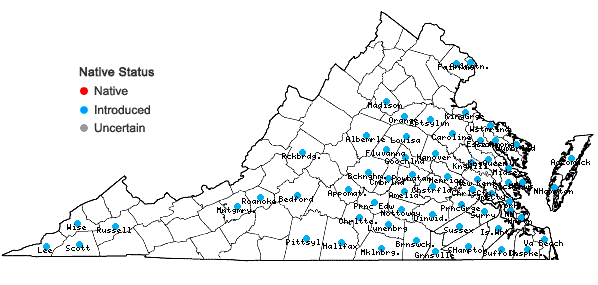 Locations ofPaspalum dilatatum Poir. in Virginia