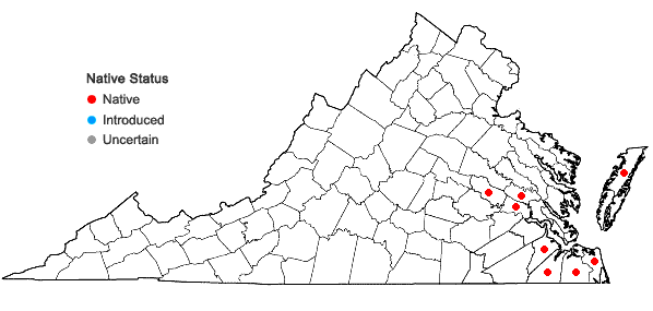Locations ofPaspalum distichum L. in Virginia