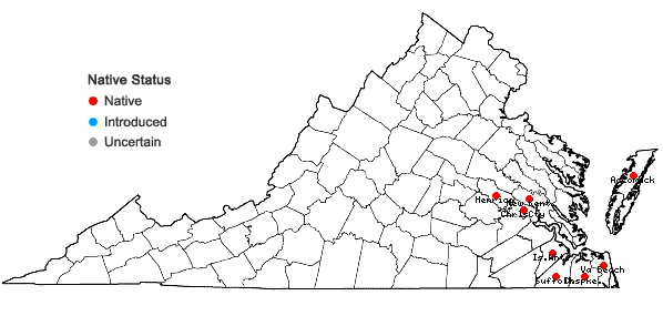 Locations ofPaspalum distichum L. in Virginia