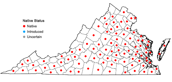 Locations ofPaspalum laeve Michx. in Virginia