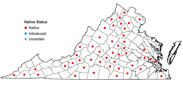 Locations ofPaspalum pubiflorum Rupr. ex Fourn. var. glabrum Vasey in Virginia