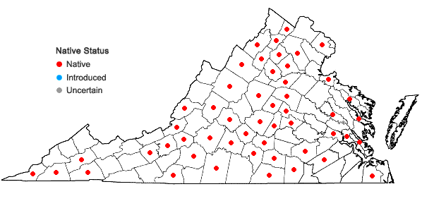 Locations ofPaspalum pubiflorum Rupr. ex Fourn. var. glabrum Vasey in Virginia