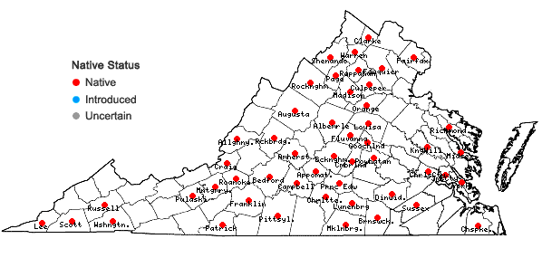 Locations ofPaspalum pubiflorum Rupr. ex Fourn. var. glabrum Vasey in Virginia