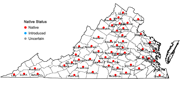 Locations ofPaspalum pubiflorum Rupr. ex Fourn. var. glabrum Vasey in Virginia