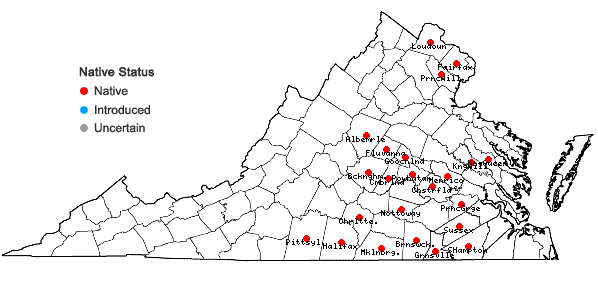 Locations ofPaspalum repens P.J. Bergius in Virginia