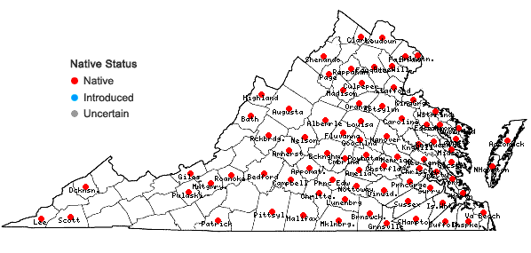 Locations ofPaspalum setaceum Michx. in Virginia