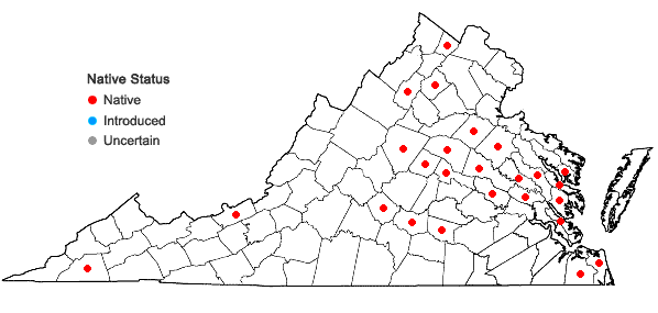 Locations ofPaspalum setaceum Michx. var. ciliatifolium (Michx.) Vasey in Virginia