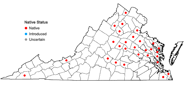 Locations ofPaspalum setaceum Michx. var. ciliatifolium (Michx.) Vasey in Virginia