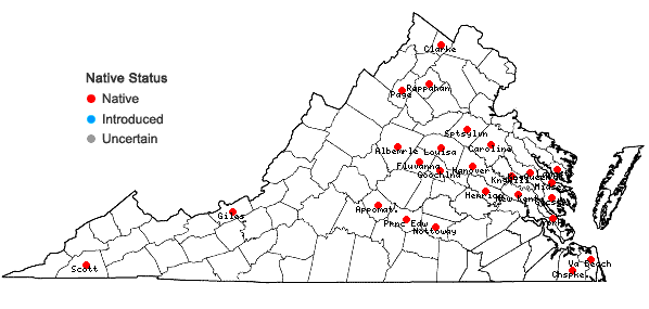 Locations ofPaspalum setaceum Michx. var. ciliatifolium (Michx.) Vasey in Virginia