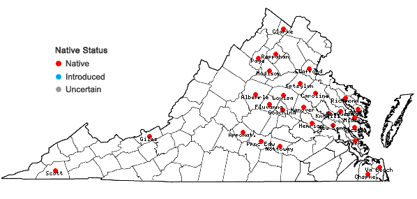 Locations ofPaspalum setaceum Michx. var. ciliatifolium (Michx.) Vasey in Virginia