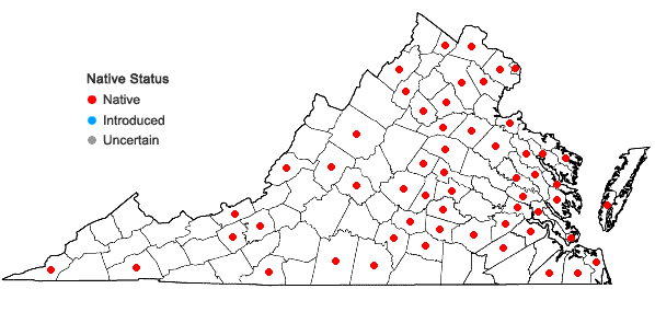 Locations ofPaspalum setaceum Michx. var. mühlenbergii (Nash) Fern. in Virginia