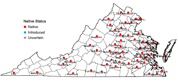 Locations ofPaspalum setaceum Michx. var. mühlenbergii (Nash) Fern. in Virginia