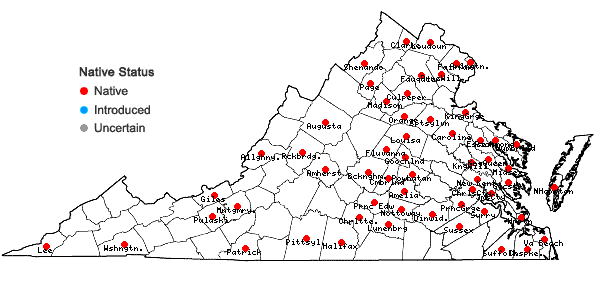 Locations ofPaspalum setaceum Michx. var. mühlenbergii (Nash) Fern. in Virginia