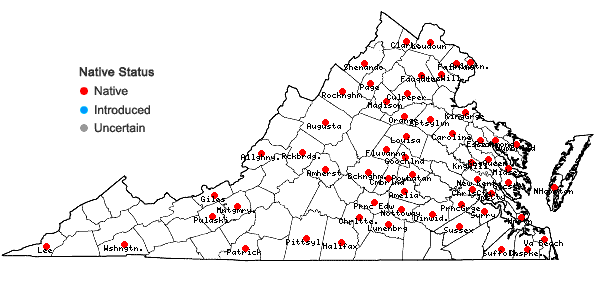 Locations ofPaspalum setaceum Michx. var. mühlenbergii (Nash) Fern. in Virginia