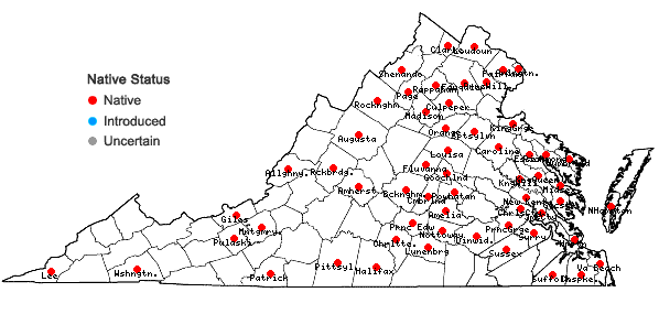 Locations ofPaspalum setaceum Michx. var. mühlenbergii (Nash) Fern. in Virginia