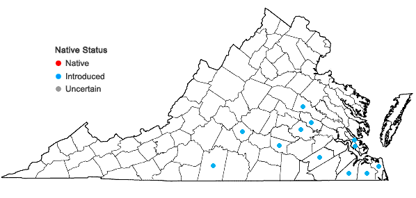 Locations ofPaspalum urvillei Steud. in Virginia