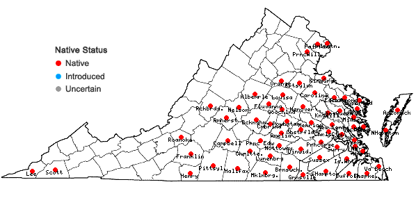 Locations ofPassiflora incarnata L. in Virginia