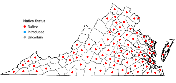 Locations ofPassiflora lutea L. in Virginia