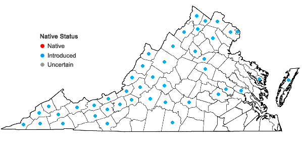 Locations ofPastinaca sativa L. in Virginia