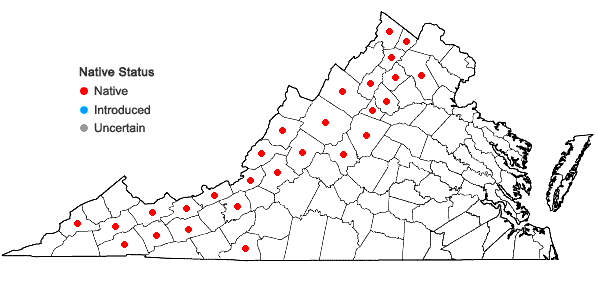 Locations ofPatis racemosa (Sm.) Romasch., P.M. Peterson, & Soreng in Virginia