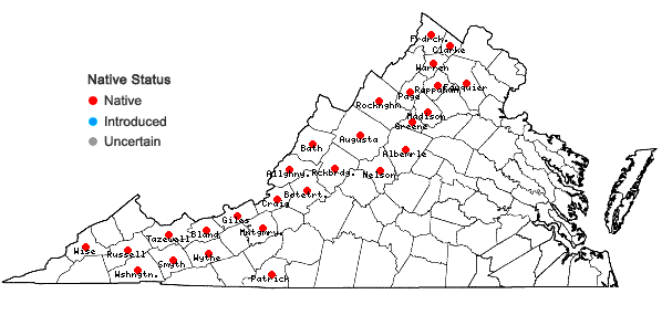 Locations ofPatis racemosa (Sm.) Romasch., P.M. Peterson, & Soreng in Virginia