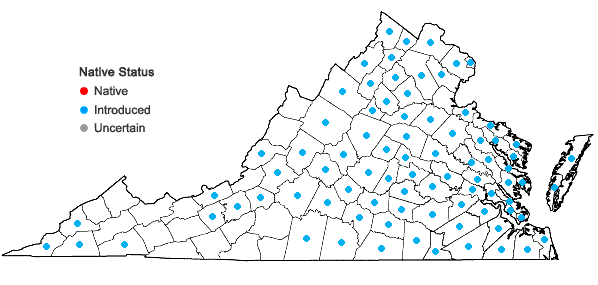 Locations ofPaulownia tomentosa (Thunb.) Steud. in Virginia