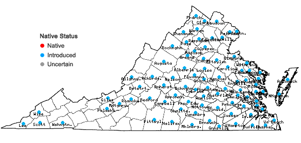 Locations ofPaulownia tomentosa (Thunb.) Steud. in Virginia