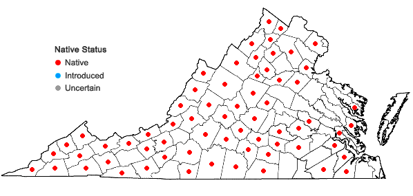 Locations ofPedicularis canadensis L. in Virginia