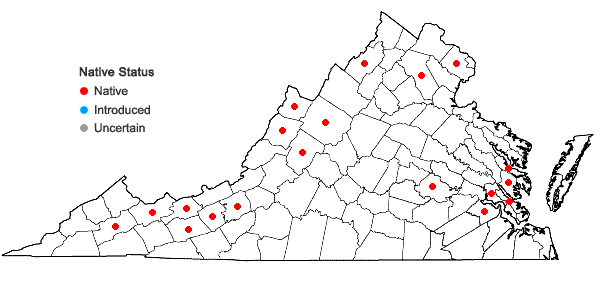 Locations ofPedicularis lanceolata Michx. in Virginia