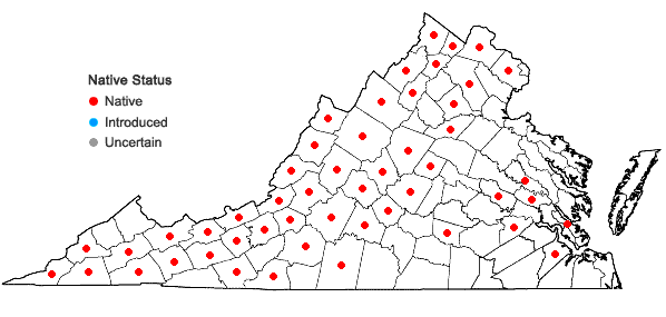 Locations ofPellaea atropurpurea (L.) Link in Virginia