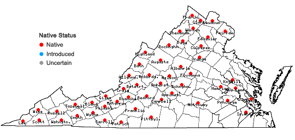 Locations ofPellaea atropurpurea (L.) Link in Virginia