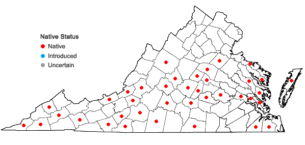 Locations ofPellia epiphylla (L.) Corda in Virginia