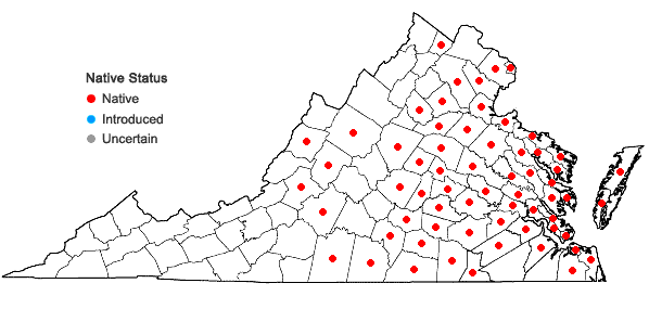 Locations ofPeltandra virginica (L.) Schott in Virginia