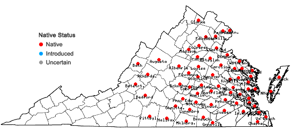 Locations ofPeltandra virginica (L.) Schott in Virginia