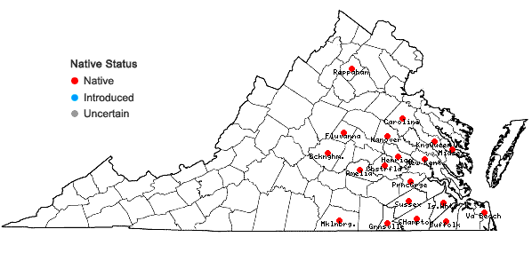 Locations ofPenstemon australis Small in Virginia