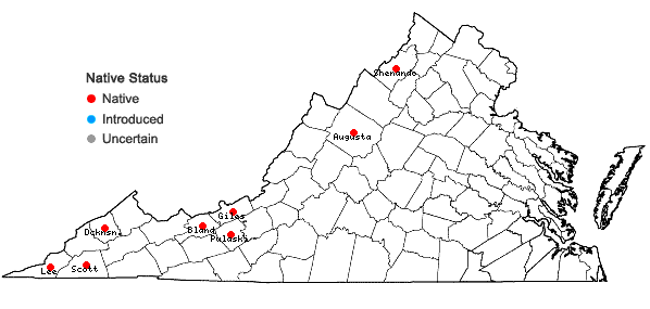 Locations ofPenstemon brevisepalus Pennell in Virginia