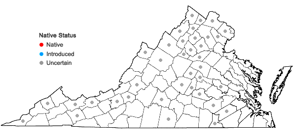 Locations ofPenstemon digitalis Nutt. ex Sims in Virginia