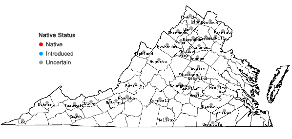 Locations ofPenstemon digitalis Nutt. ex Sims in Virginia