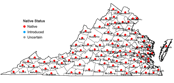 Locations ofPenthorum sedoides L. in Virginia