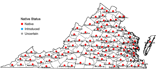 Locations ofPenthorum sedoides L. in Virginia