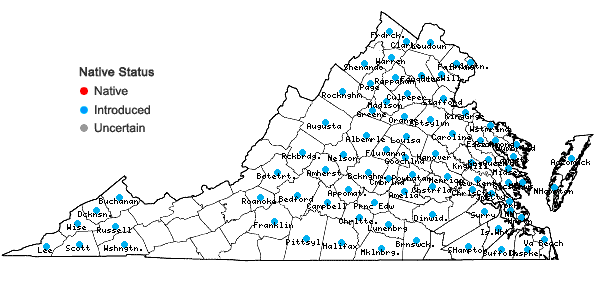 Locations ofPerilla frutescens (L.) Britt. in Virginia